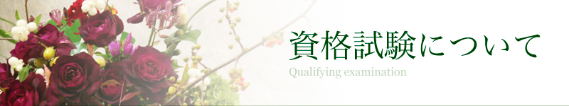 資格試験について