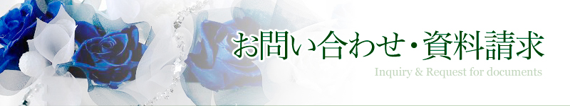 ���₢���킹�E��������